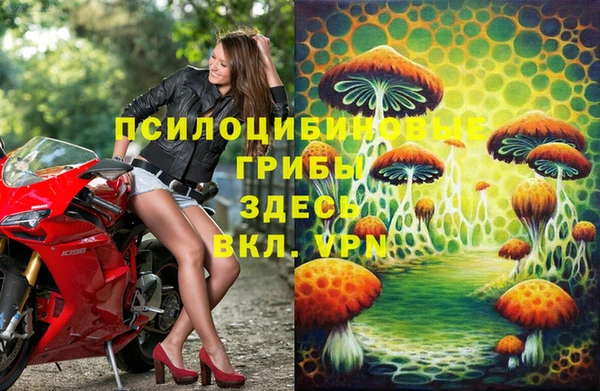 эйфоретик Богданович