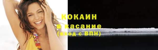 мяу мяу кристалл Бородино
