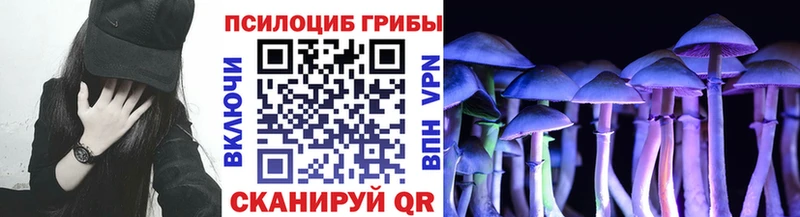 Псилоцибиновые грибы прущие грибы  Короча 
